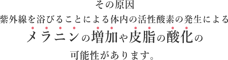 その原因紫外線を浴びることによる体内の活性酸素の発生によるメラニンの増加や皮脂の酸化の可能性があります。